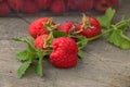 The bright, juicy and delightful berries of raspberry stationed oneself on a log